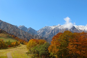 紅葉フェスティバルのお知らせ