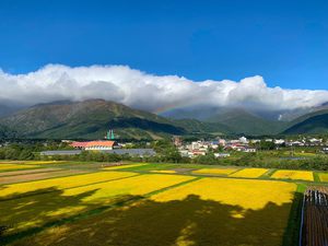 紅葉の見ごろ