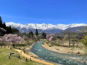 桜の季節