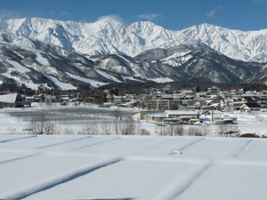 Today's Hakuba!!