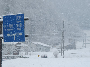 降雪状況