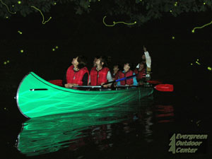 Night Firefly Canoe Tours on Lake Aoki