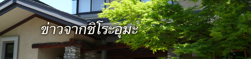 ข่าวจากชิโระอุมะ-โซ